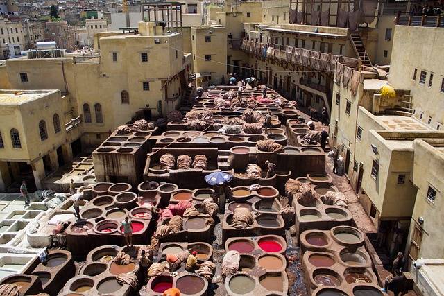 Fez Tannery
