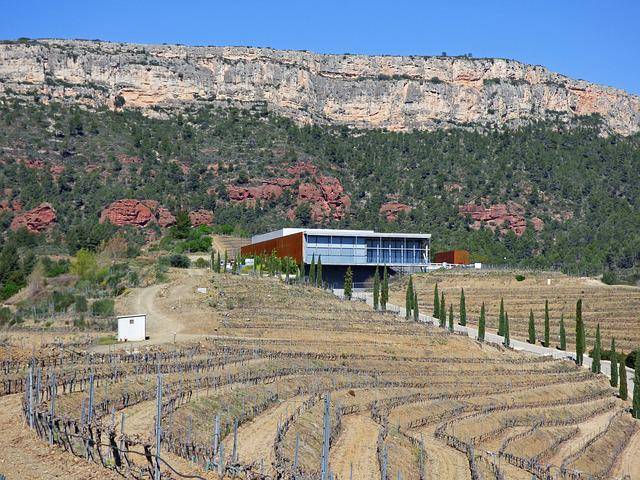 How to do Priorat wine tours from Barcelona?