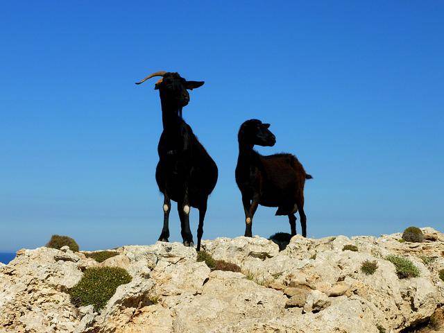 10 activities to do in Menorca for families?
