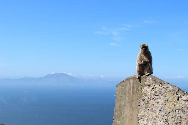 When is the best time to visit Gibraltar?